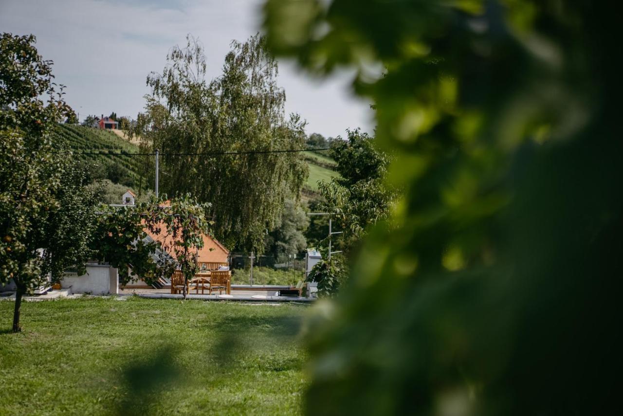 Wein Cottage Kellerstoeckl Eisenberg an der Pinka 외부 사진