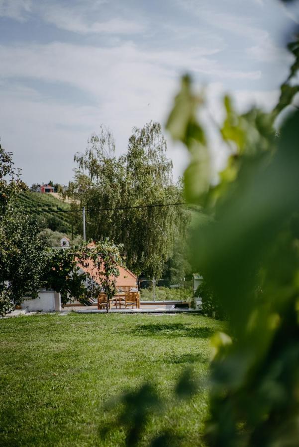Wein Cottage Kellerstoeckl Eisenberg an der Pinka 외부 사진
